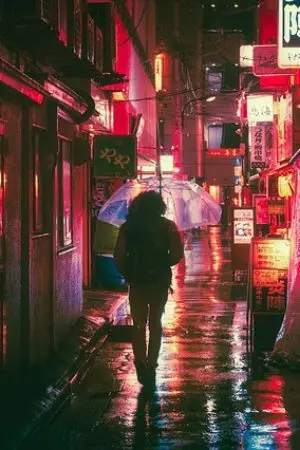 ปกนิยาย สมหมาย