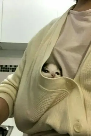 ปกนิยาย [Fic My Hero Academia] กูสิผัว!...มึงสิเมีย![BL/Yaoi]