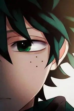 ปกนิยาย [ Boku no hero academia ] ใครกันแน่ที่ว่าโง่