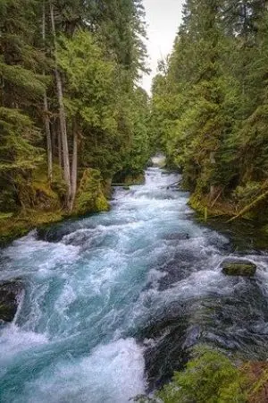 ปกนิยาย มังกรรักข้ามภพ