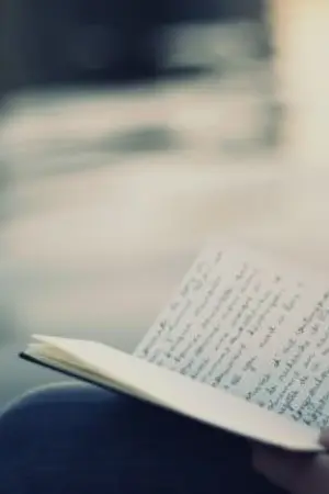 ปกนิยาย My diary  บันทึกของวินดี้