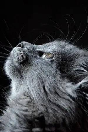 ปกนิยาย ย้อนเวลาเริ่มต้นรัก