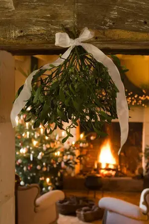 ปกนิยาย [Fic Harry Potter] Mr.Potter and his slytherin boy [FP/TMR]