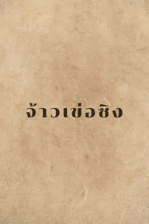 ปกนิยาย จ้าวเข่อซิง