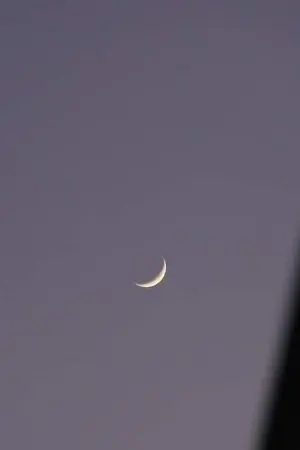 ปกนิยาย กับดักพระจันทร์