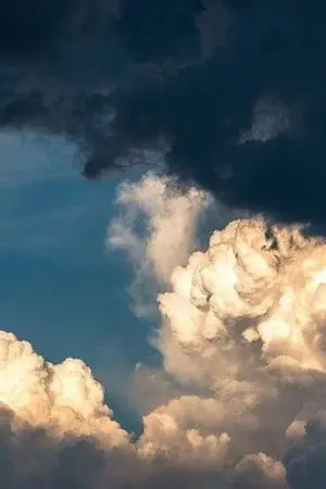 ปกนิยาย ช่วยแอดไลน์ผมหน่อยนะครับ