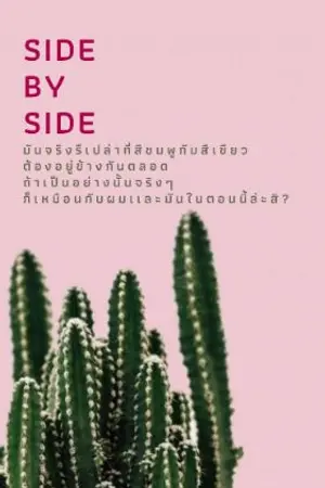 ปกนิยาย SIDE BY SIDE ข้างกันเหมือนทฤษฎีสีชมพูเขียว