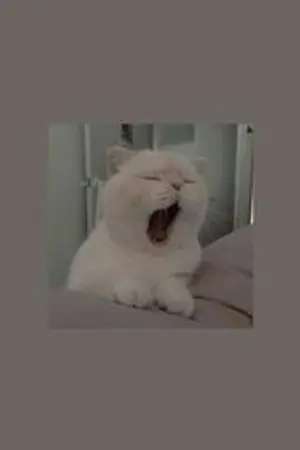 ปกนิยาย ทุกคนชอบบอกว่าผมเป็นลูกรักของพระเจ้า [ yaoi ]