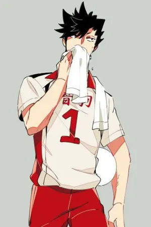 ปกนิยาย [HAIKYUU]คุณรุ่นน้องน้องที่รักครับ