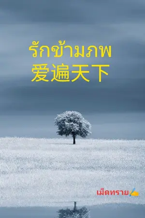 ปกนิยาย รักข้ามภพ[爱遍天下]