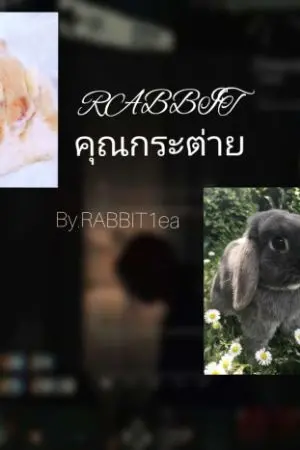 ปกนิยาย [ʚɞʀᴀʙʙɪᴛʚɞ:คุณกระต่าย]