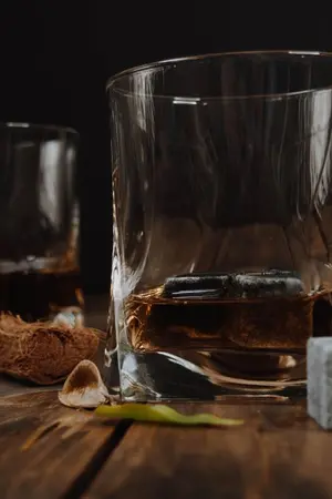 ปกนิยาย ป่วนป่าอัลฟ่า (omegaverse)