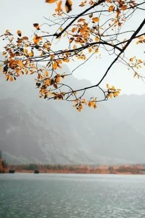 ปกนิยาย ~~{นิทาน}~~