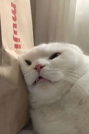 ปกนิยาย Mine.  #ถึงคุณผู้เป็นโลกทั้งใบ