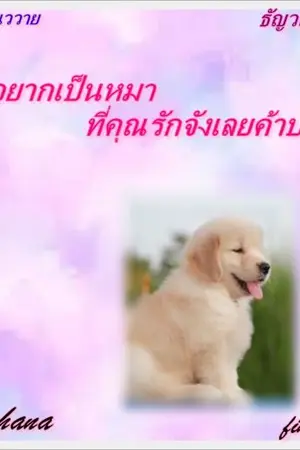 ปกนิยาย