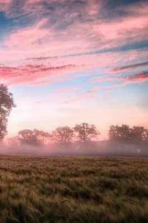 ปกนิยาย รักโครตร้ายถ้านายไม่รัก