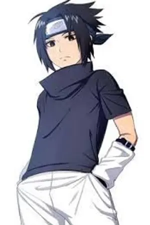 ปกนิยาย ประวัติ ซาซึเกะ