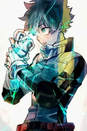 ปกนิยาย ทะลุมิติมาเป็นมิโดริยะ | What if My Hero Academia : Through to Dimension