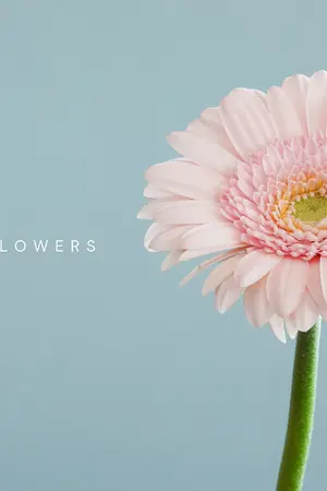 ปกนิยาย ลมร้อนที่พัดใจ