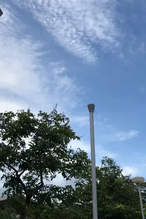 ปกนิยาย hey:-)