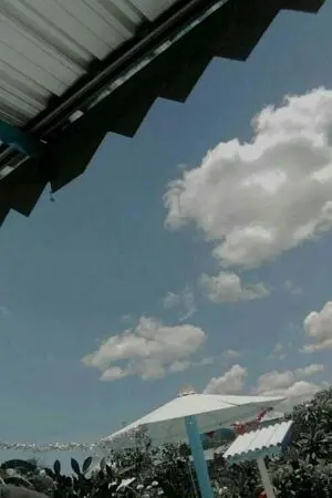 ปกนิยาย มีพี่มีน้องมีแฟนยังครับ?