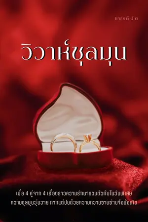 ปกนิยาย