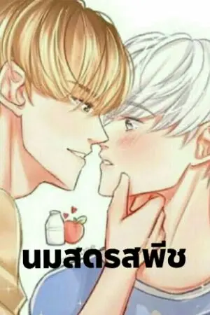 ปกนิยาย นมสดรสพีช