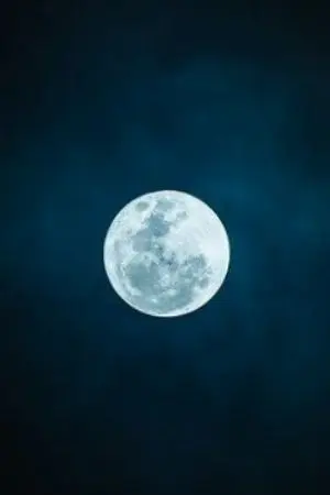 ปกนิยาย จักรพรรดิ์ฟ้าประทาน