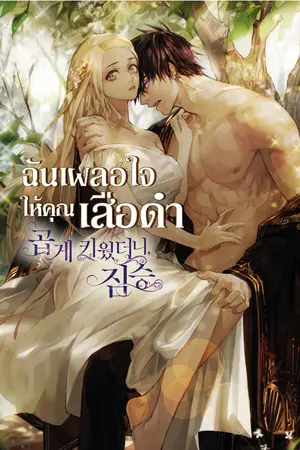 ปกนิยาย