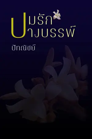 ปกนิยาย