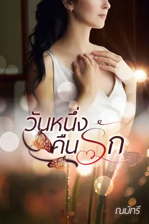 ปกนิยาย วันหนึ่งคืนรัก(มีEbook)