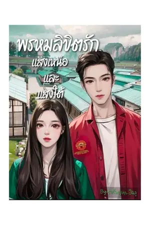 ปกนิยาย พรหมลิขิตรักแสงเหนือและแสงใต้