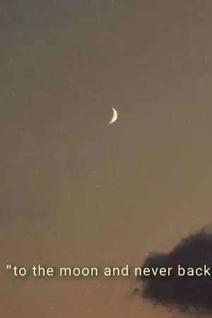 ปกนิยาย please.