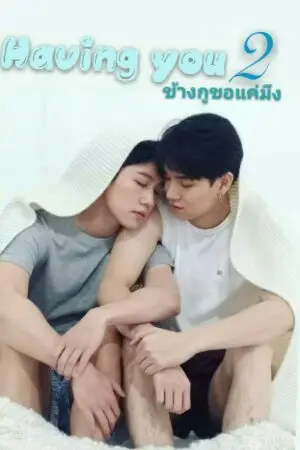 ปกนิยาย Having you ข้างกูขอแค่มึง2////(อคินบลู)