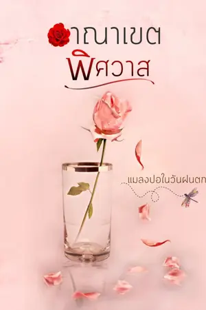 ปกนิยาย