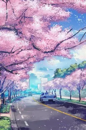 ปกนิยาย Visitor in spring (Knb Akakuro)