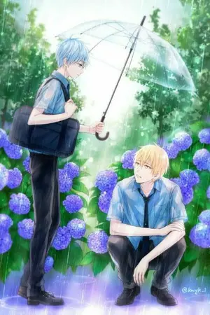 ปกนิยาย The warmth of the rain - knb ( kikuro)