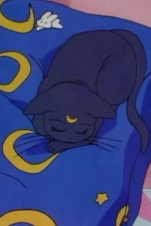 ปกนิยาย Love (song)sungle - os/sf