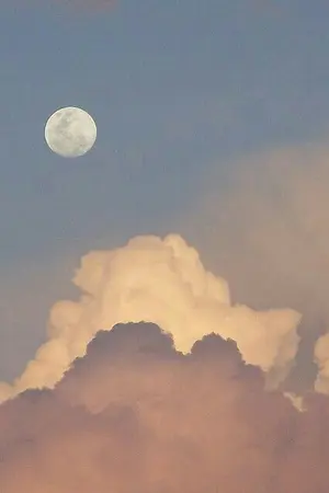 ปกนิยาย รำพันจันทร์เจ้า | yaoi