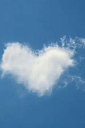 ปกนิยาย ทำได้เพียง....คิดถึง