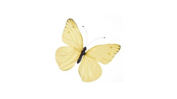 ปกนิยาย minno