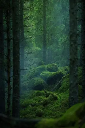 ปกนิยาย [ Fic All Anime ] ไปต่างโลกหลังสงครามเนี้ยนะ!!!!