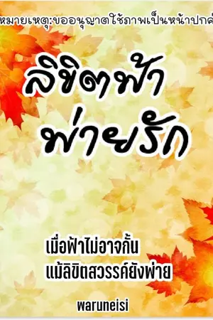 ปกนิยาย