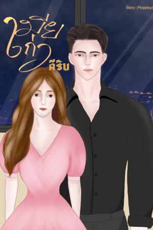 ปกนิยาย