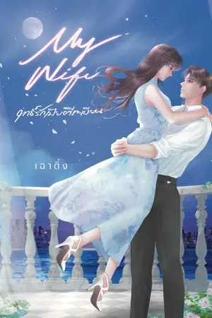 ปกนิยาย ฤทธิ์รักเมียตีทะเบียน [มี E-Book]