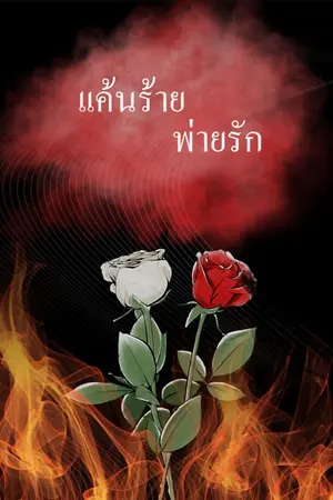 ปกนิยาย