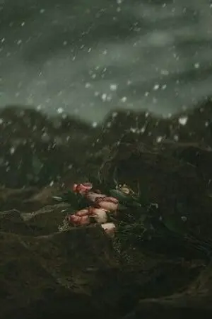 ปกนิยาย .การเดินทาง.