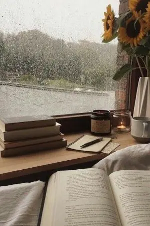 ปกนิยาย บทความจากเพลง