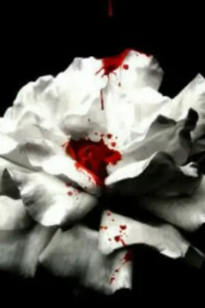 ปกนิยาย [fic vampire twilight]Discerning man หยั่งรู้....หยั่งรัก (OC ×...) END