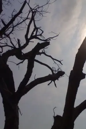 ปกนิยาย โอรีเวีย 2 ( ล่มสลาย )